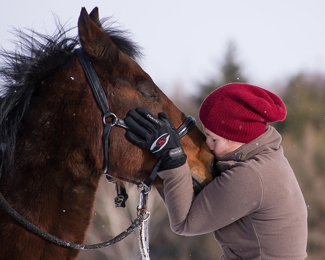 políbení koně
